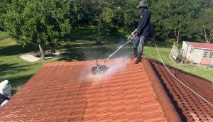 Roof cleaning